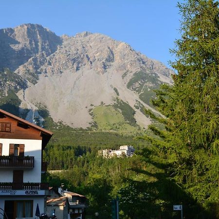 Albergo - B&B Alpina Premadio ภายนอก รูปภาพ